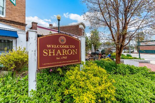 Luxury Car Service: Logan Airport to Sharon, MA