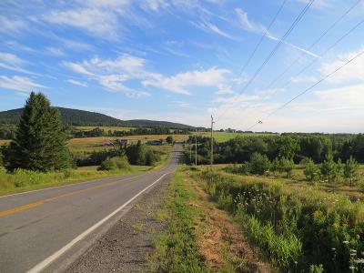 First-Class Car Service from Logan Airport to New Limerick, ME